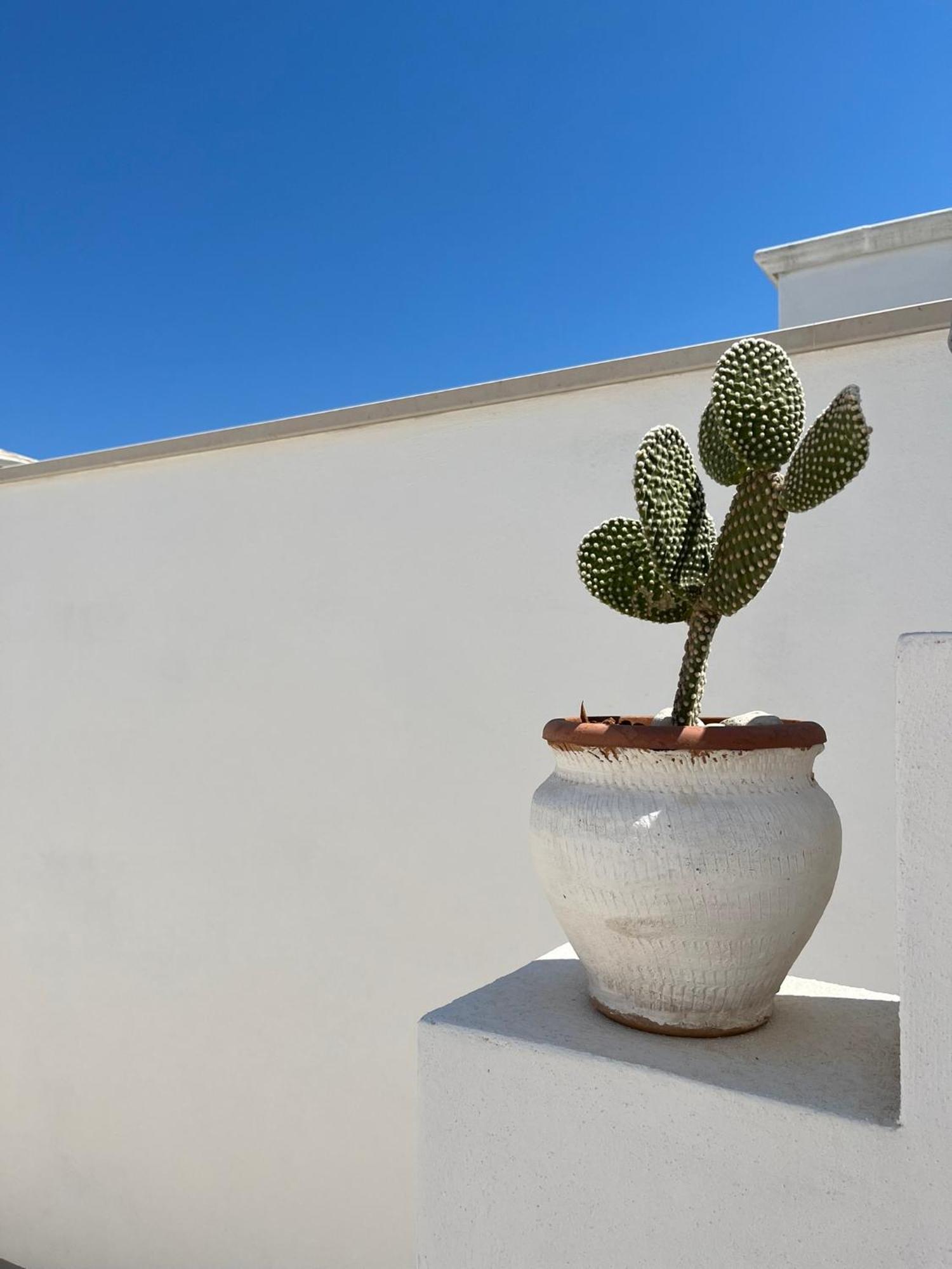 Ferienwohnung El-Mar Locazione Turistica House With Exclusive Terrace Polignano a Mare Exterior foto